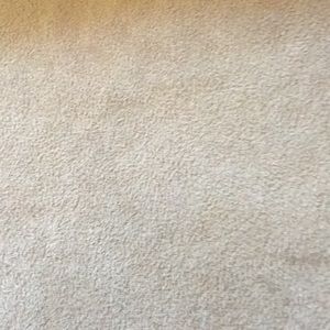 Meet your Posher, Kitty